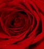 Inner Beauty